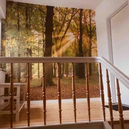 Fewo Waldblick Meschede Exterior photo